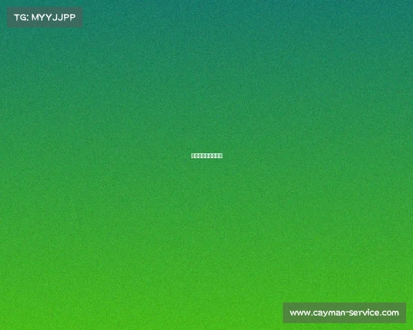 电子竞技选手是什么